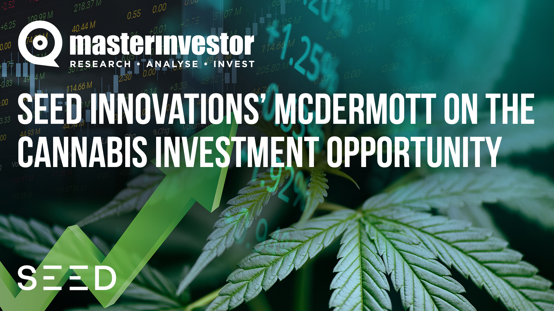 Seed innovations interview